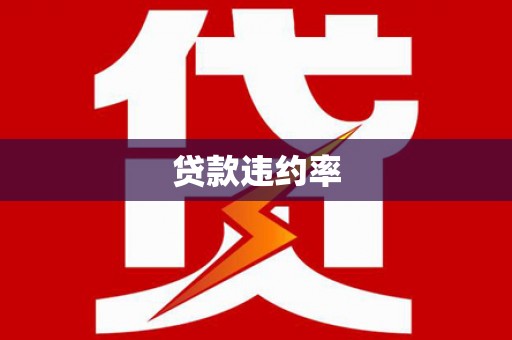 北港贷款违约率