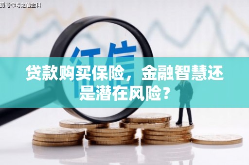 北港贷款购买保险，金融智慧还是潜在风险？