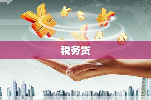 北港税务贷