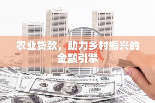 北港农业贷款，助力乡村振兴的金融引擎