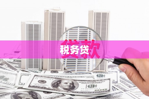北港税务贷