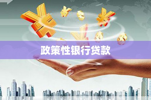北港政策性银行贷款