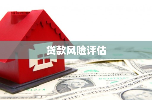 北港贷款风险评估