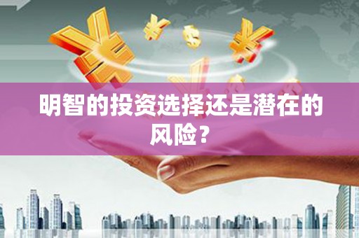 北港明智的投资选择还是潜在的风险？