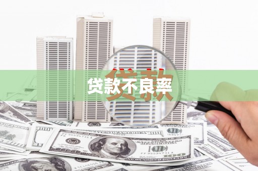 北港贷款不良率