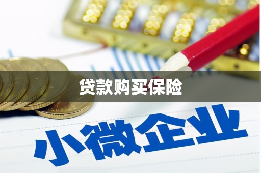 北港贷款购买保险