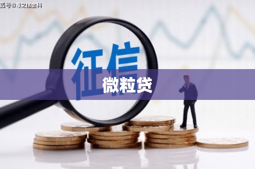 北港微粒贷