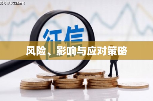 北港风险、影响与应对策略