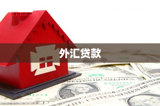 北港外汇贷款