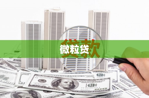 北港微粒贷