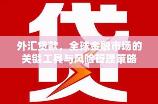 北港外汇贷款，全球金融市场的关键工具与风险管理策略