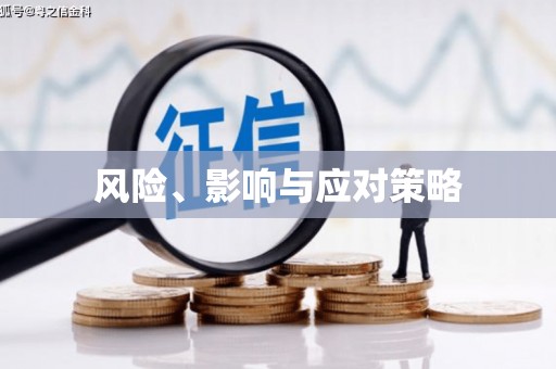 北港风险、影响与应对策略
