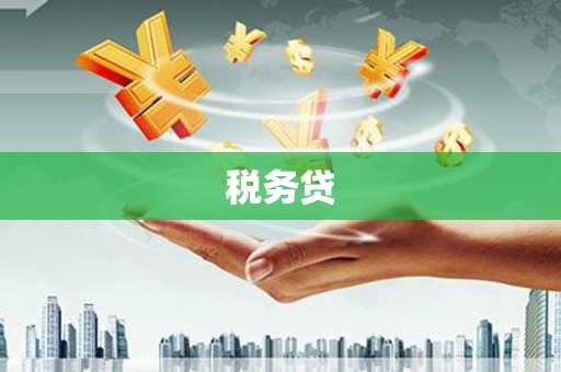 北港税务贷