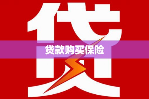 北港贷款购买保险