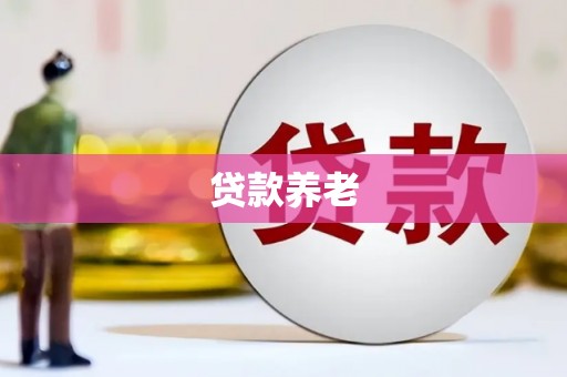 北港贷款养老