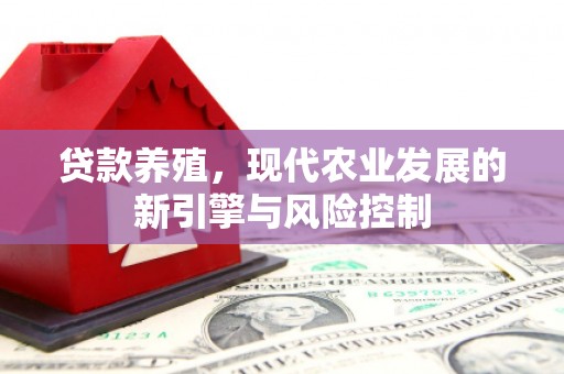 北港贷款养殖，现代农业发展的新引擎与风险控制