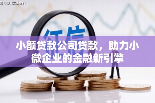北港小额贷款公司贷款，助力小微企业的金融新引擎