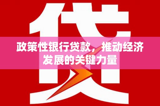 北港政策性银行贷款，推动经济发展的关键力量