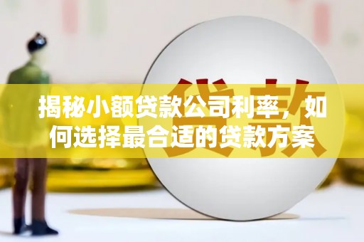 北港揭秘小额贷款公司利率，如何选择最合适的贷款方案