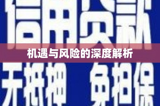 北港机遇与风险的深度解析