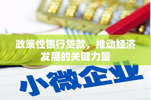 北港政策性银行贷款，推动经济发展的关键力量
