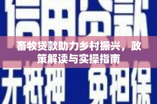 北港畜牧贷款助力乡村振兴，政策解读与实操指南