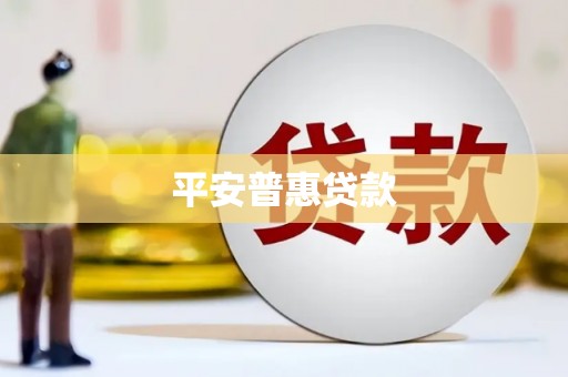 北港平安普惠贷款