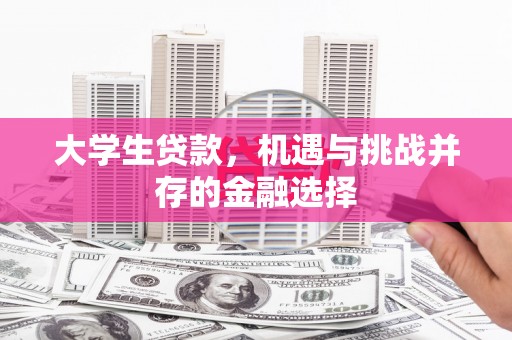 北港大学生贷款，机遇与挑战并存的金融选择