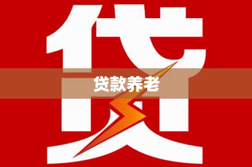 北港贷款养老