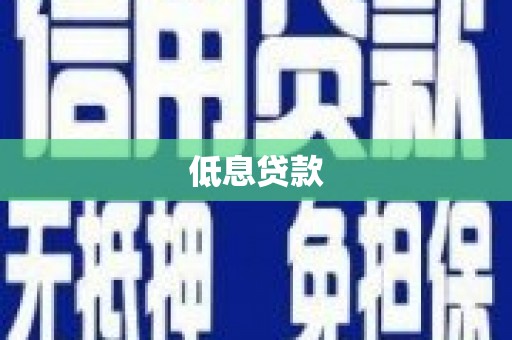 北港低息贷款