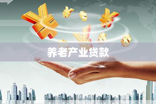 北港养老产业贷款