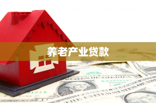 北港养老产业贷款