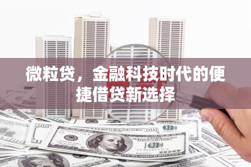 北港微粒贷，金融科技时代的便捷借贷新选择