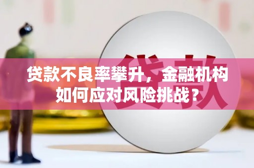 北港贷款不良率攀升，金融机构如何应对风险挑战？