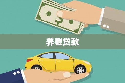 北港养老贷款