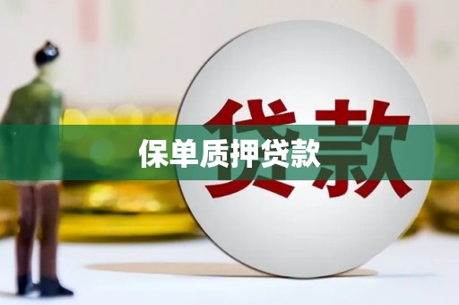 北港保单质押贷款