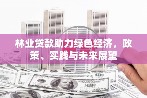 北港林业贷款助力绿色经济，政策、实践与未来展望