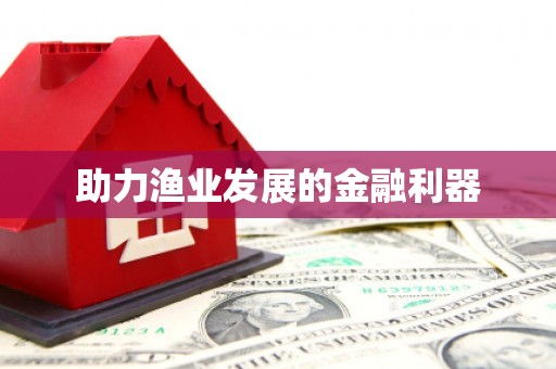北港助力渔业发展的金融利器