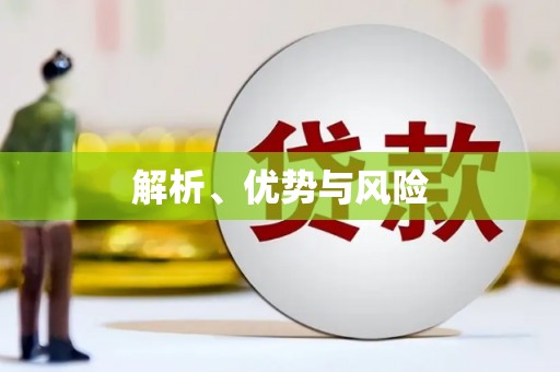 北港解析、优势与风险