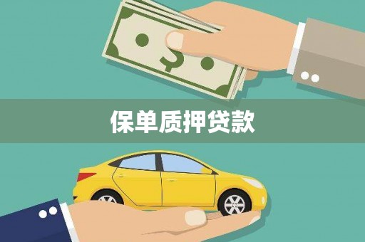 北港保单质押贷款