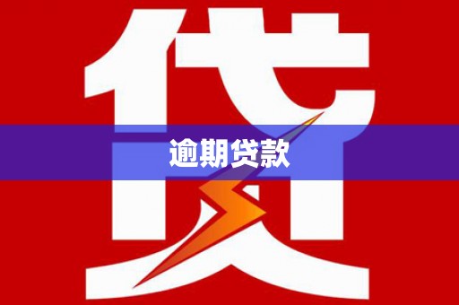 北港逾期贷款